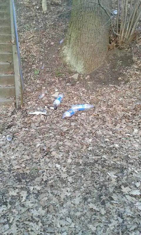 Ręce opadają! Znowu nasyfili nad Bobrem