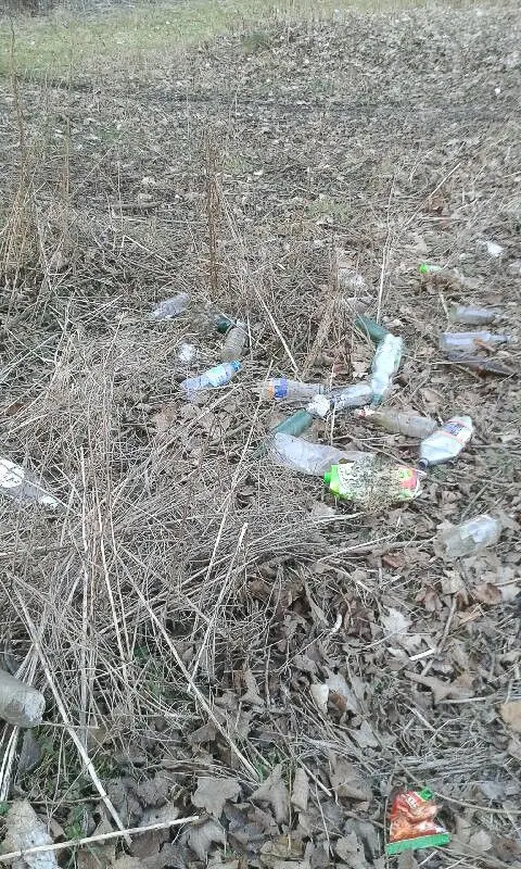 Ręce opadają! Znowu nasyfili nad Bobrem