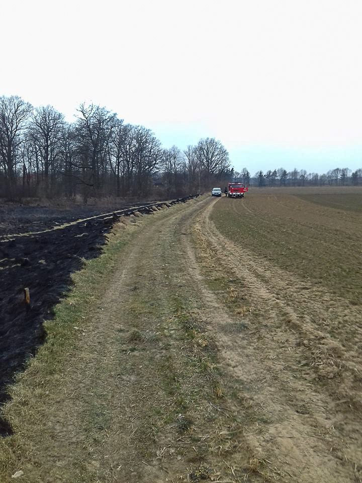 Pożar w Zebrzydowej (gmina Nowogrodziec, powiat bolesławiecki)