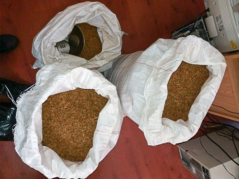 Handlował nielegalnym tytoniem. Wpadł z 550 paczkami papierosów i 50 kg krajanki