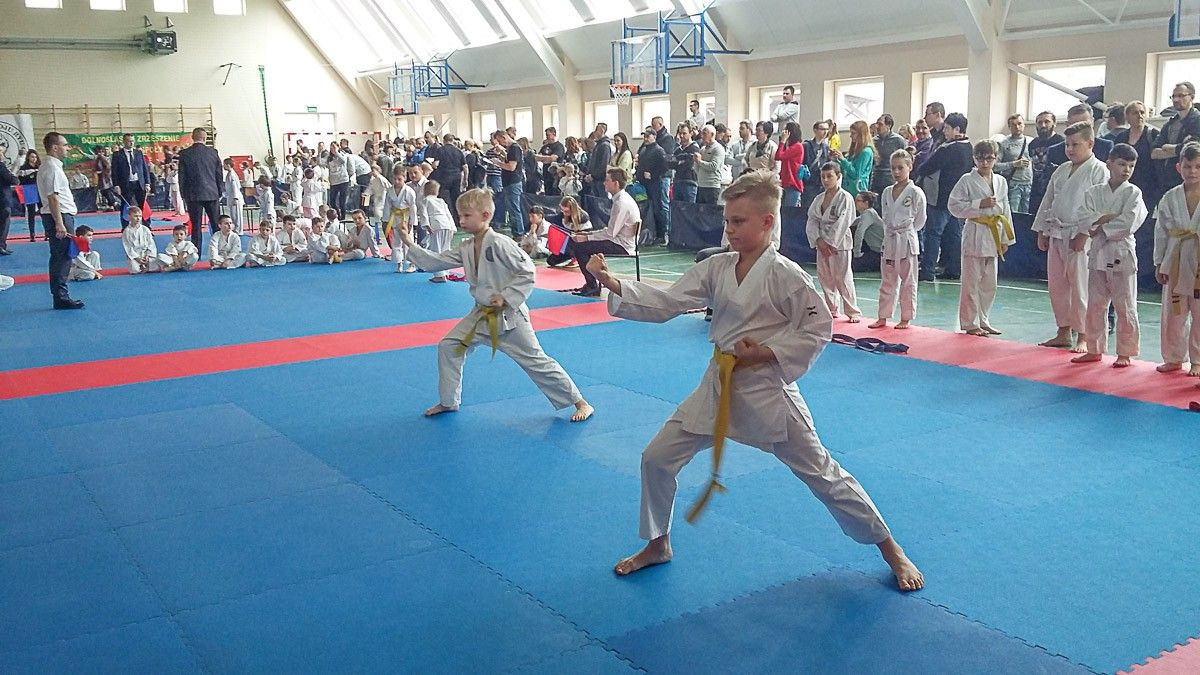 Grad medali karateków TOP Bolesławiec na Wińsko Cup 2018