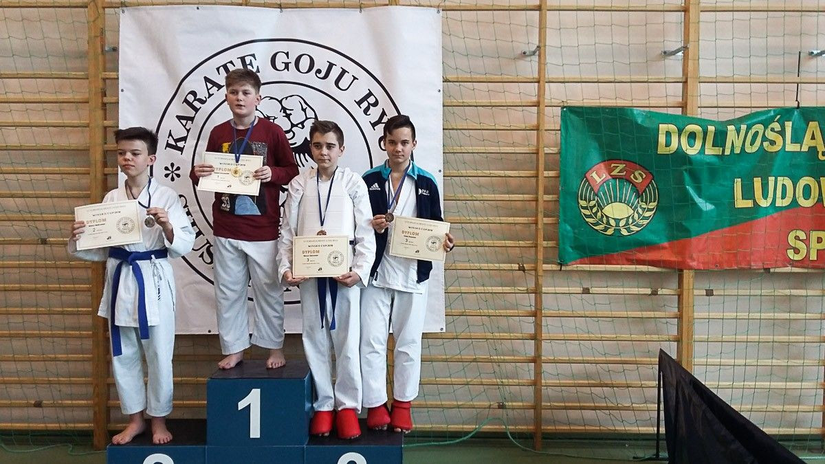 Grad medali karateków TOP Bolesławiec na Wińsko Cup 2018