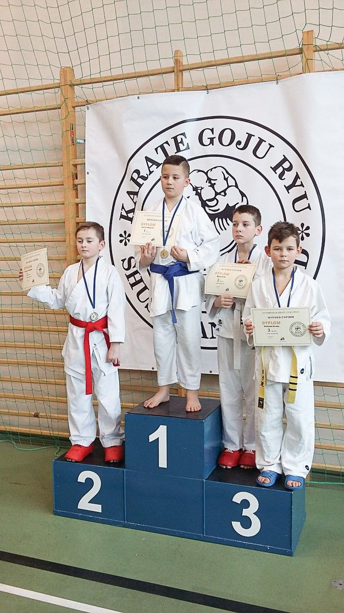 Grad medali karateków TOP Bolesławiec na Wińsko Cup 2018