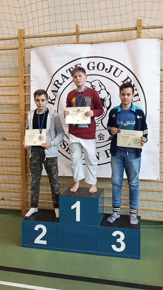 Grad medali karateków TOP Bolesławiec na Wińsko Cup 2018