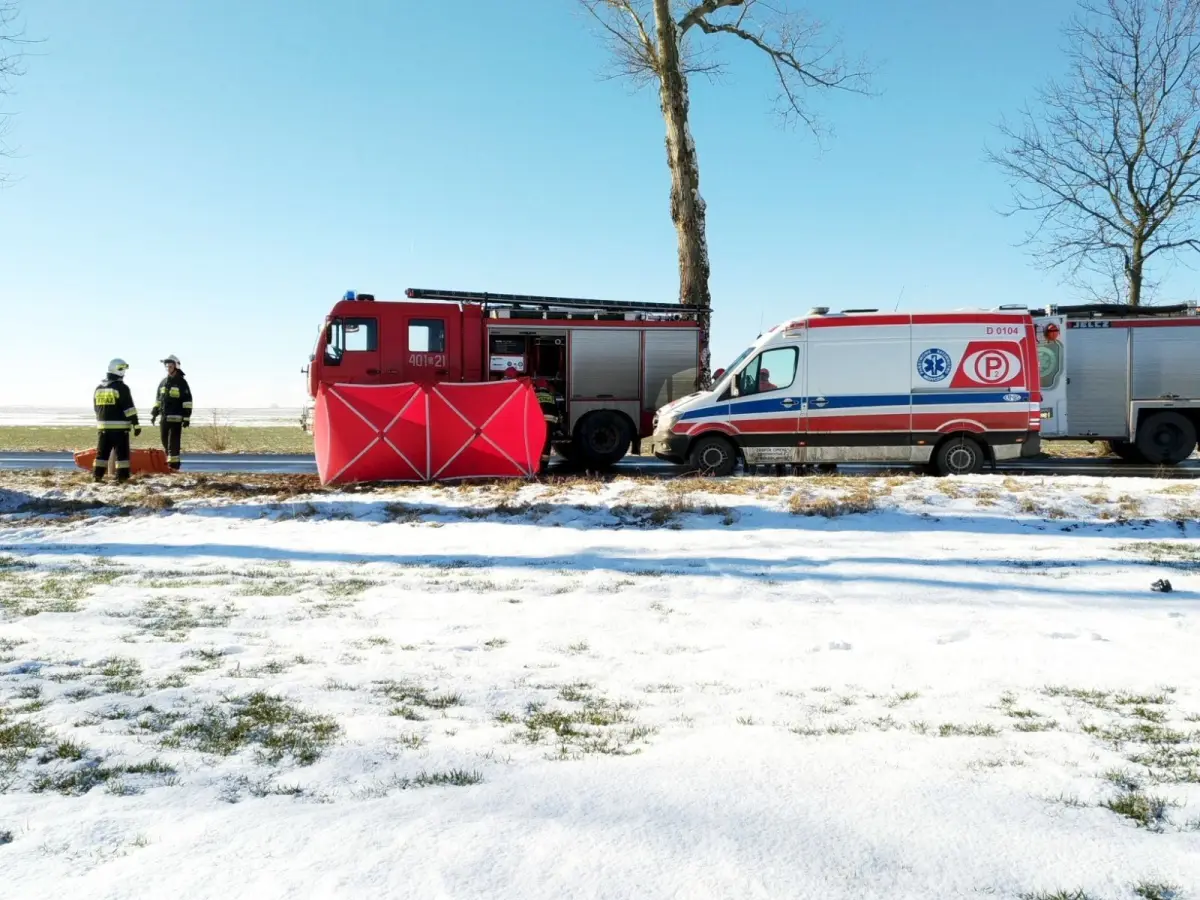 Śmiertelny wypadek między Iwinami a Wartą. Kierowca Audi zginął na miejscu