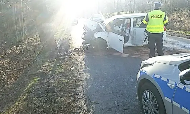 Kierowca Škody wjechał w drzewo. 40-latek trafił do bolesławieckiego szpitala