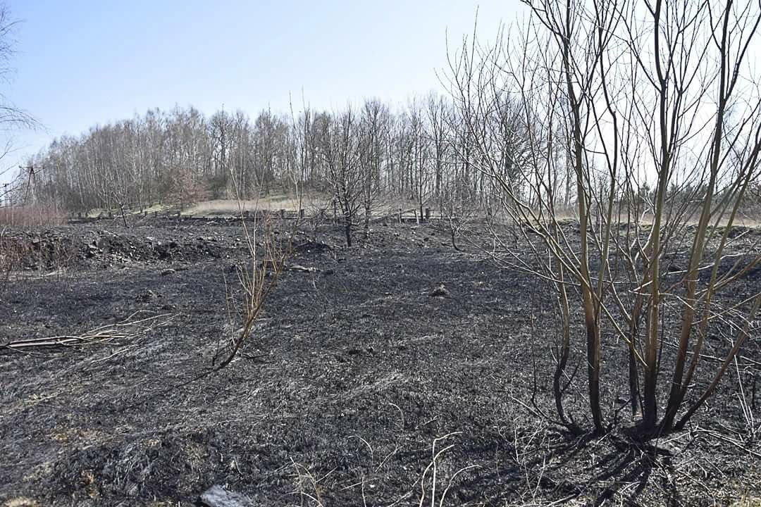 Nowogrodzianka ma apel do wypalaczy traw: zacznijcie od swoich domów!