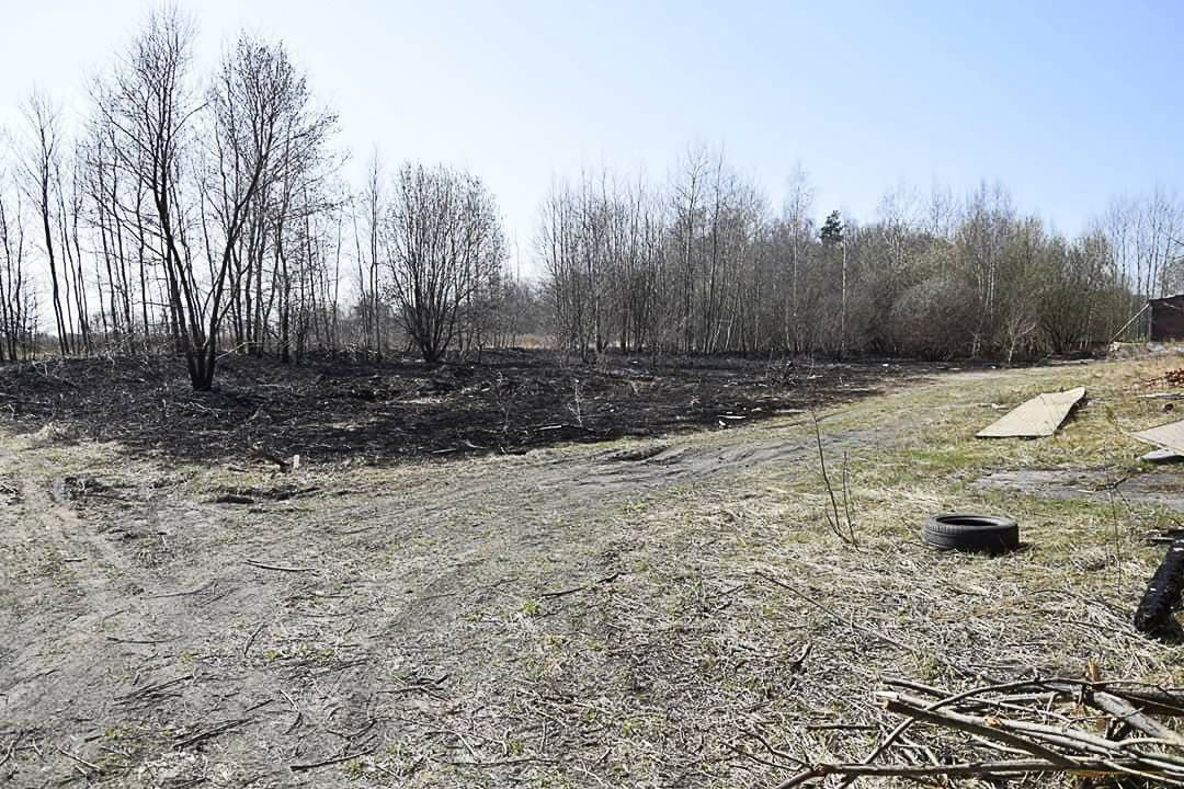 Nowogrodzianka ma apel do wypalaczy traw: zacznijcie od swoich domów!