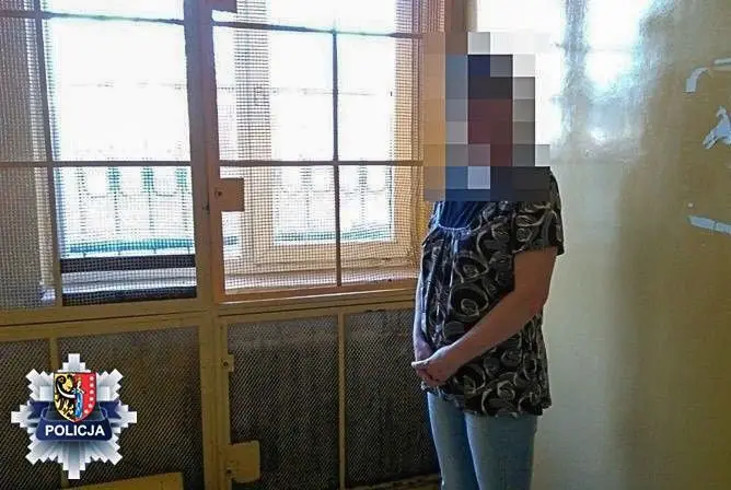 Stanęła w obronie znajomego-przestępcy. Zwyzywała i poszarpała policjantów