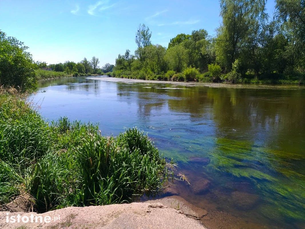 Wymarzone miejsce do spacerów