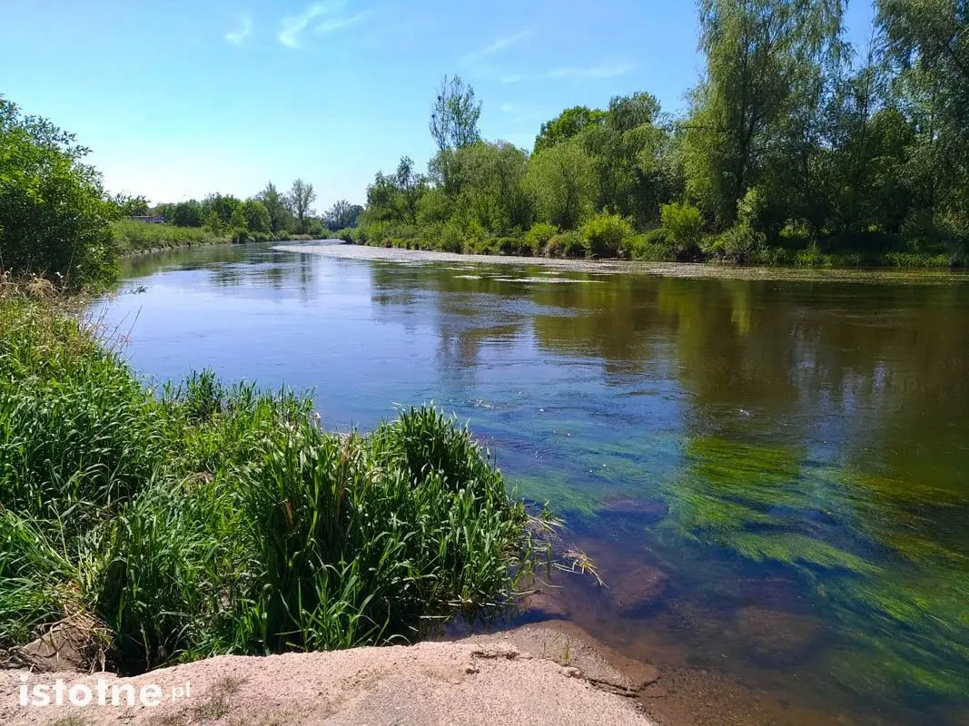 Wymarzone miejsce do spacerów