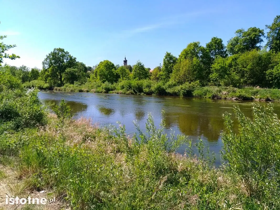 Wymarzone miejsce do spacerów