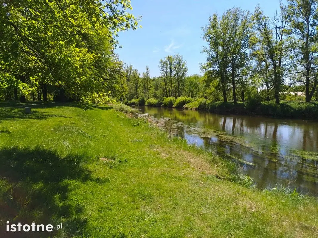 Wymarzone miejsce do spacerów