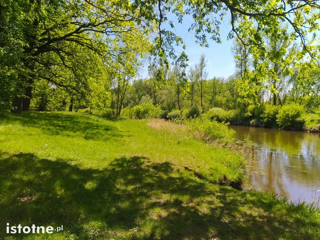 Wymarzone miejsce do spacerów