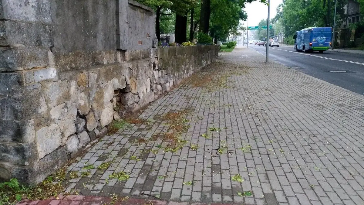 Krajobraz po burzowym armagedonie