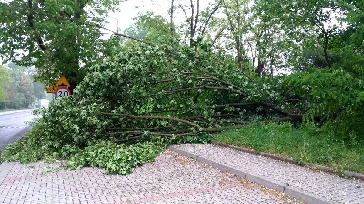 Krajobraz po burzowym armagedonie