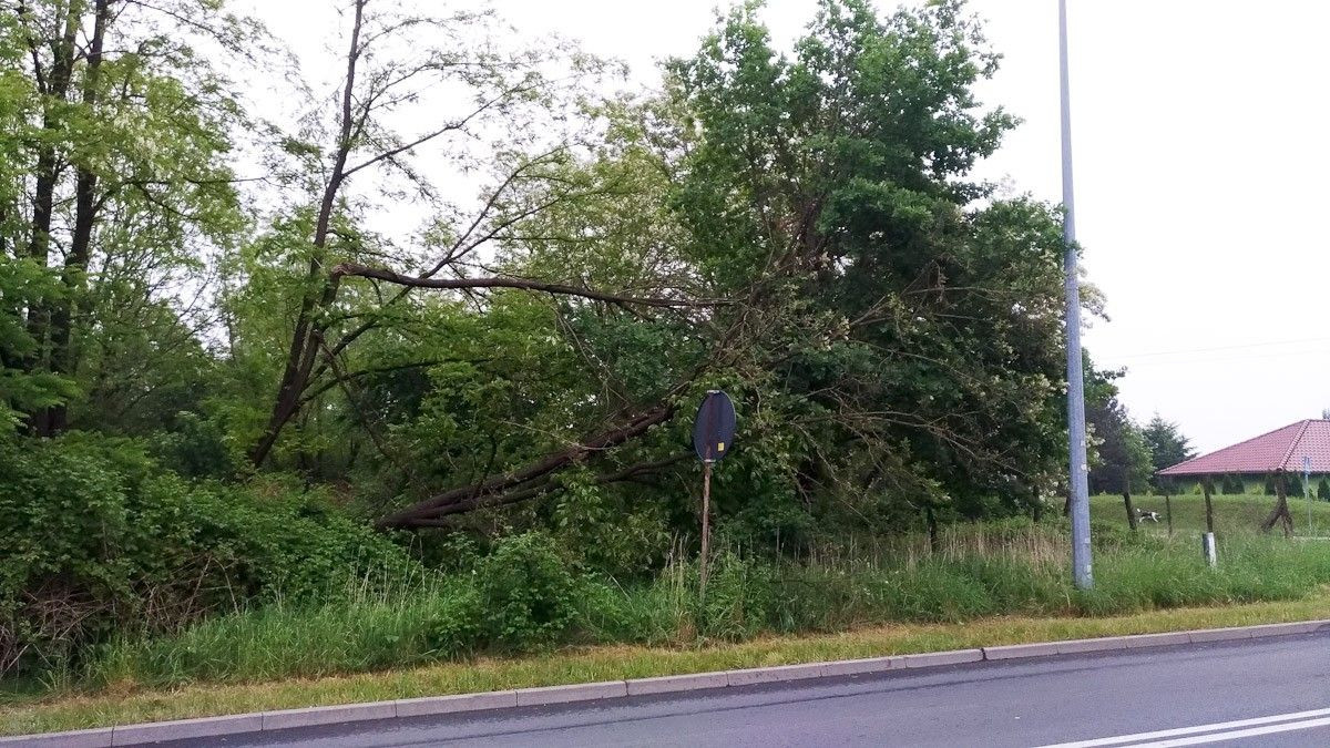 Krajobraz po burzowym armagedonie