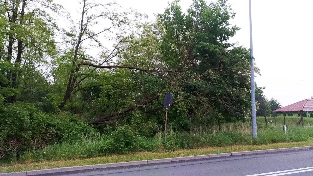 Krajobraz po burzowym armagedonie