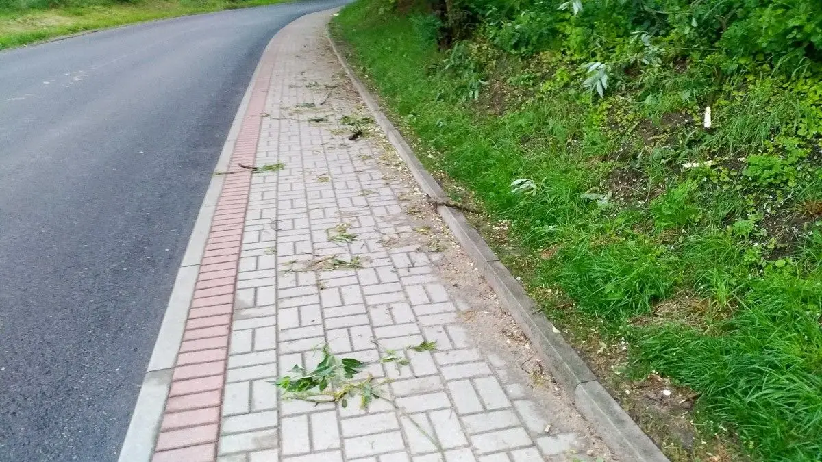 Krajobraz po burzowym armagedonie