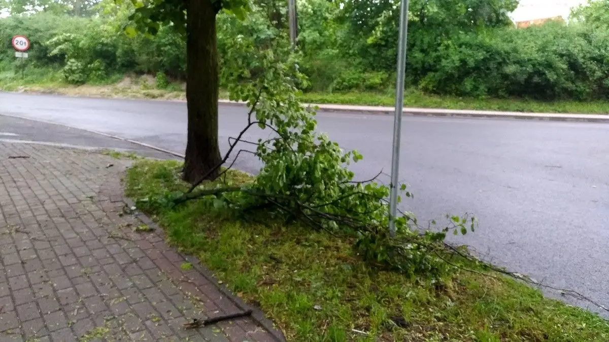 Krajobraz po burzowym armagedonie