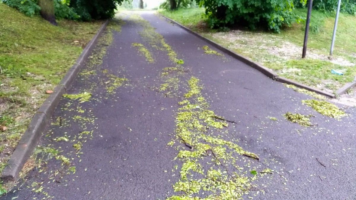 Krajobraz po burzowym armagedonie