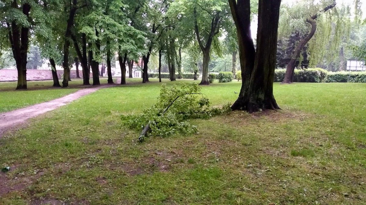 Krajobraz po burzowym armagedonie