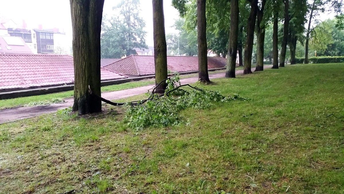 Krajobraz po burzowym armagedonie