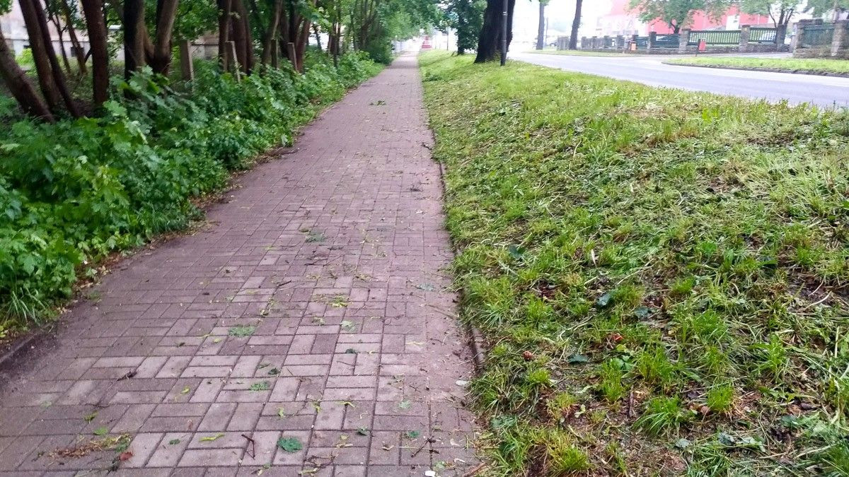 Krajobraz po burzowym armagedonie