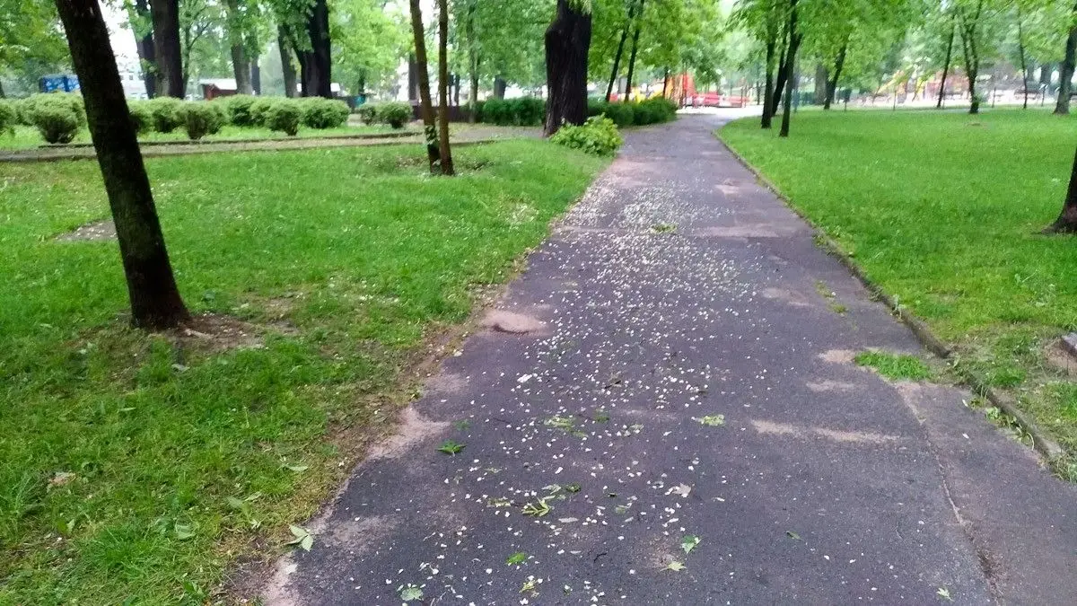 Krajobraz po burzowym armagedonie