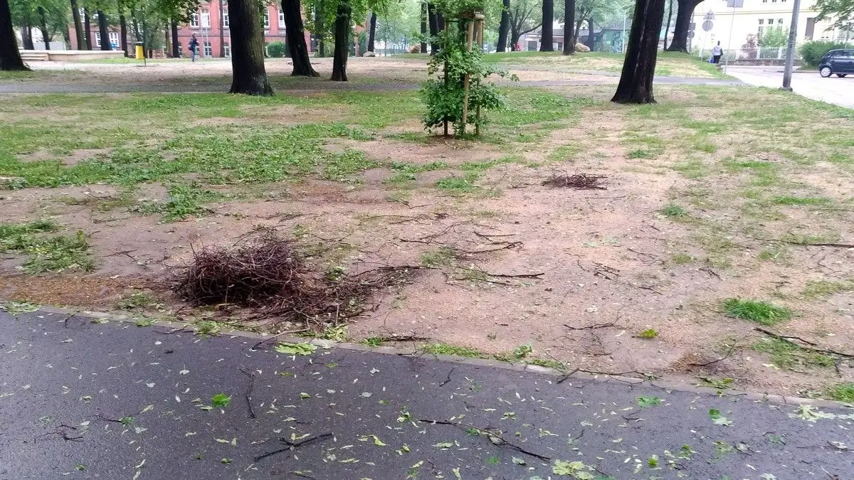 Krajobraz po burzowym armagedonie