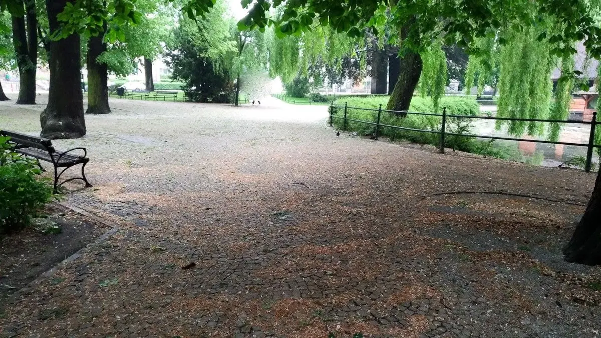 Krajobraz po burzowym armagedonie