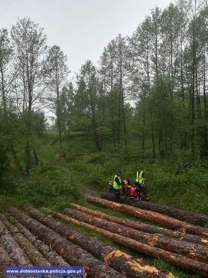 Niemiec z 3-tys. grzywną za wjazd motorem do lasu. Crossowcy musieli zapłacić… 15 tys. zł