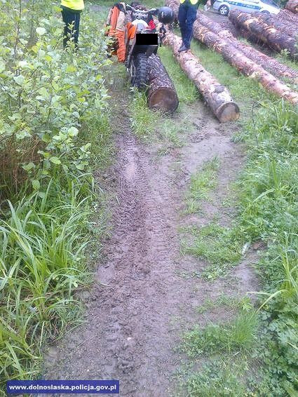 Niemiec z 3-tys. grzywną za wjazd motorem do lasu. Crossowcy musieli zapłacić… 15 tys. zł