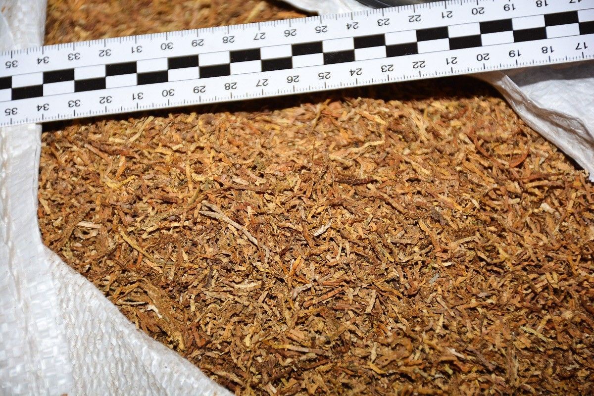 Nielegalne magazyny i krajalnia tytoniu zlikwidowane