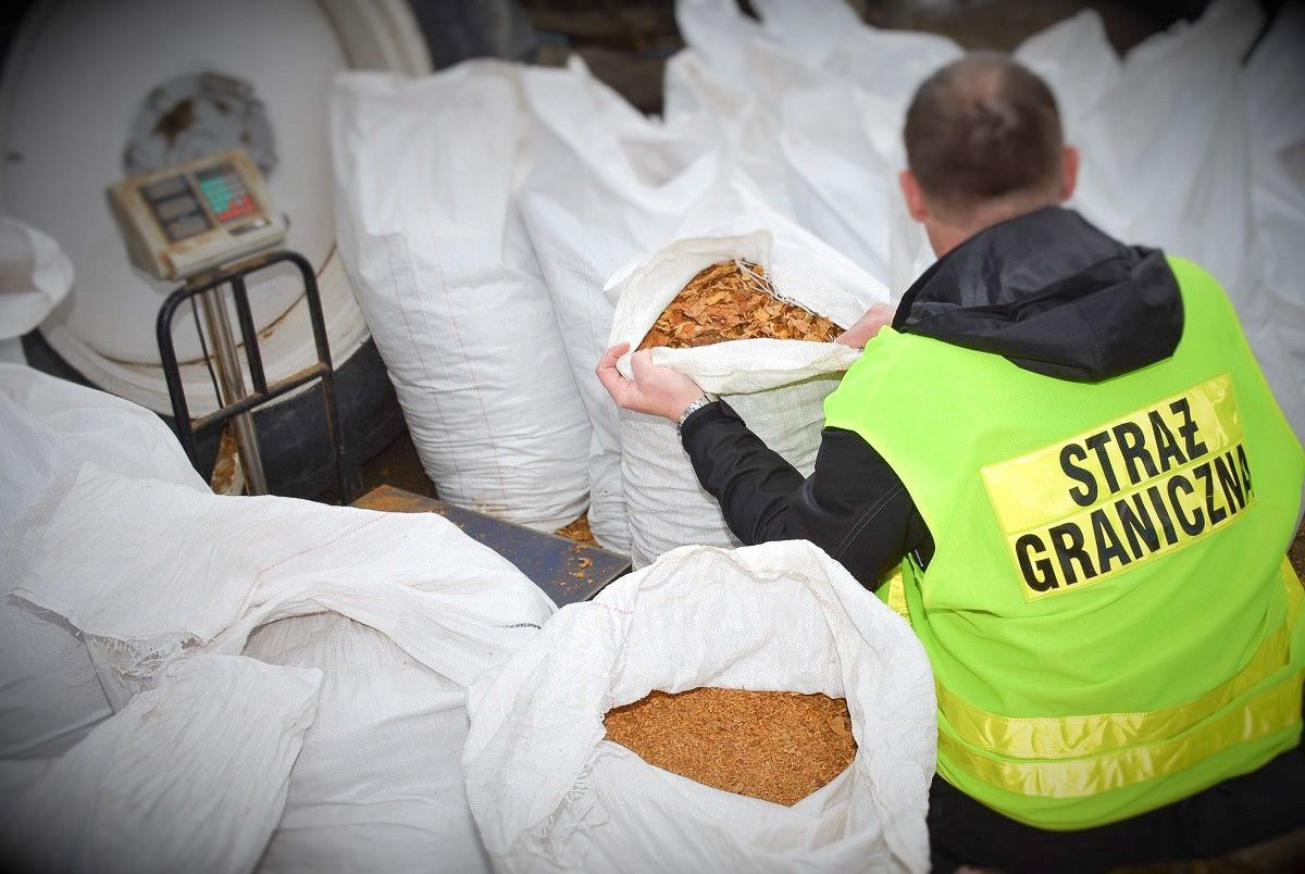 Nielegalne magazyny i krajalnia tytoniu zlikwidowane