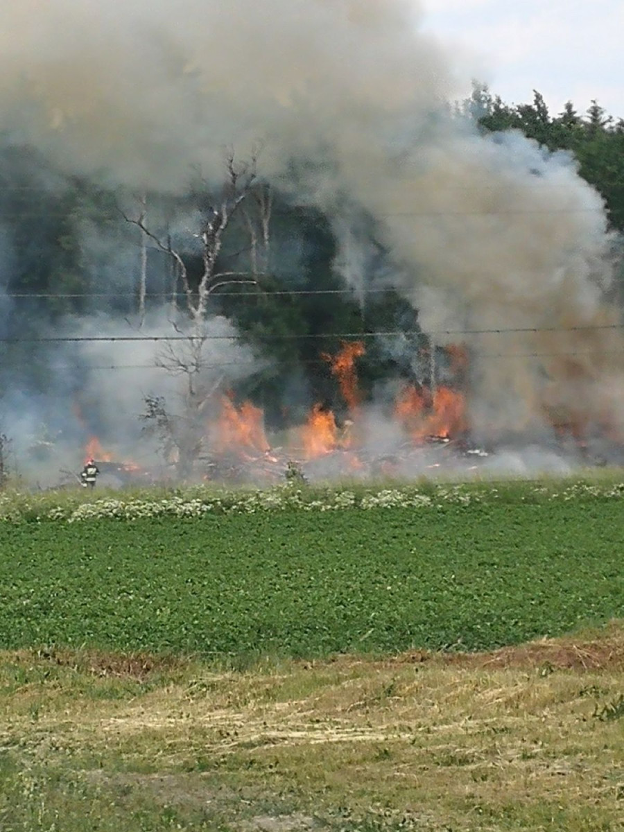 Pożar gałęzi i drewna w Wilczym Lesie