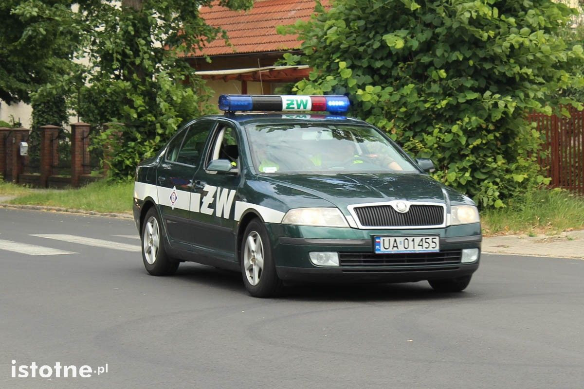 Konwojów US Army ciąg dalszy