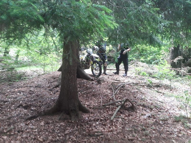 Kolejny niemiecki crossowiec w policyjnym areszcie