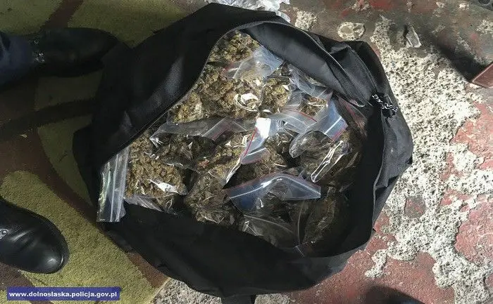 Diler wpadł z prawie 5 kg narkotyków. Jest tymczasowy areszt