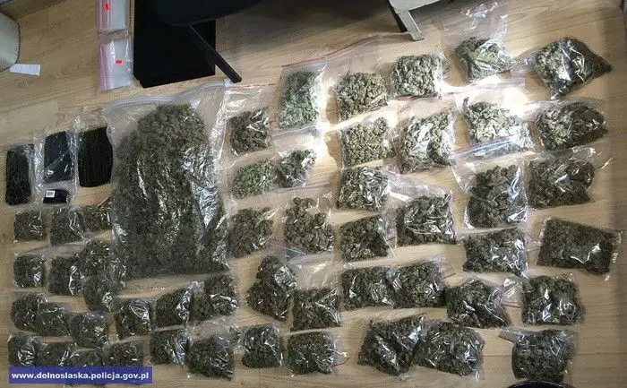 Diler wpadł z prawie 5 kg narkotyków. Jest tymczasowy areszt