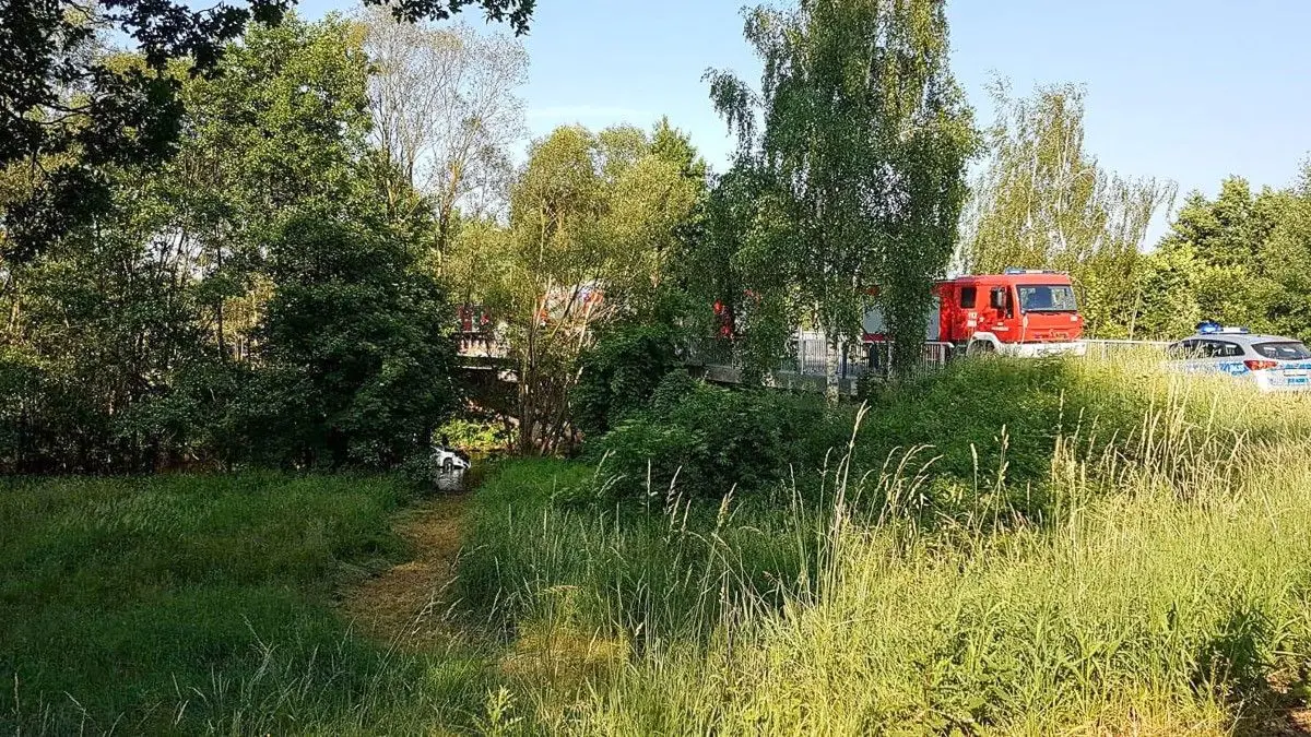 Osieczów: auto spadło z mostu i wpadło do wody. Jedna osoba ranna