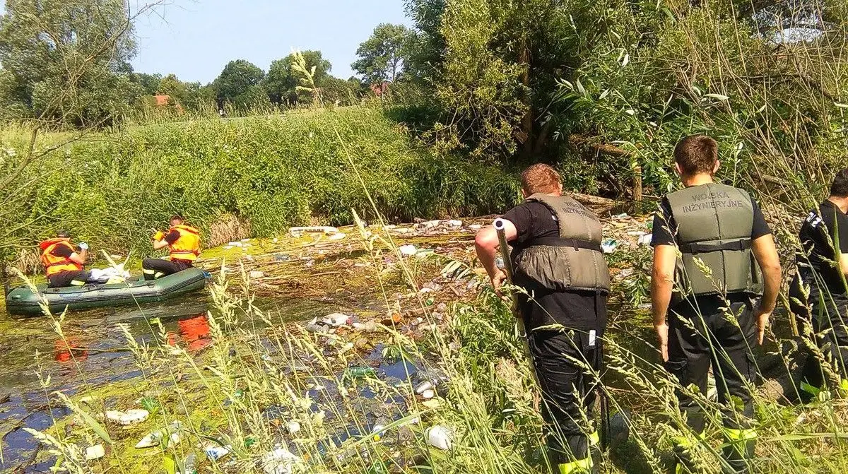 Strażacy ochotnicy z Nowogrodźca oczyszczają Kwisę