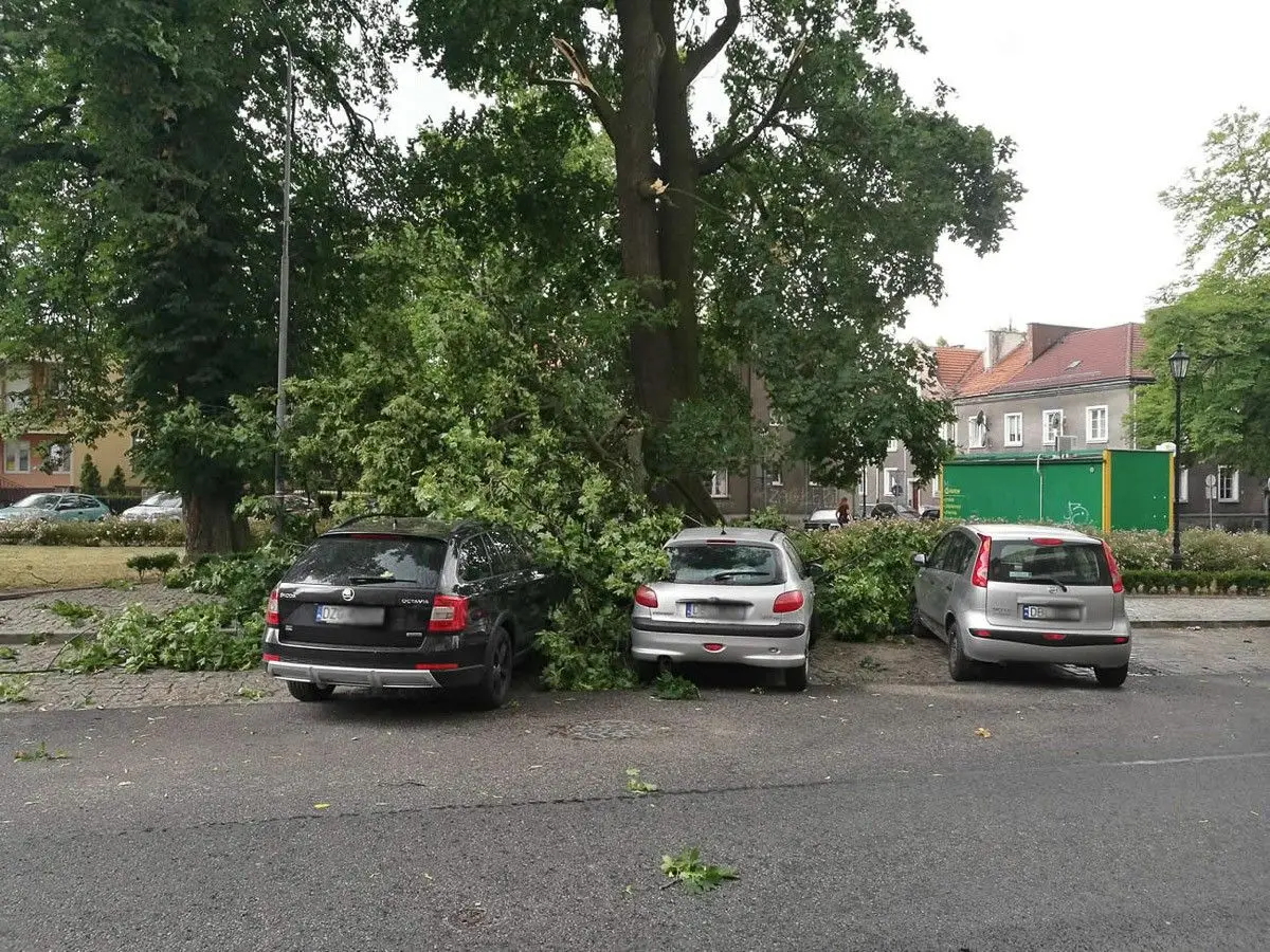 Pada i mocno wieje w Mieście Ceramiki