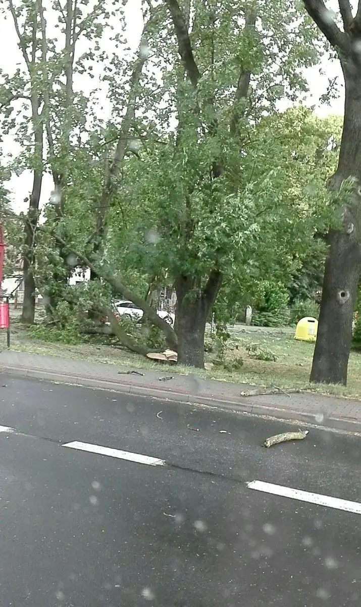 Ulica Widok