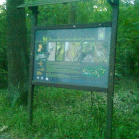 Wandale zniszczyli tablice w lasku przy Jeleniogórskiej