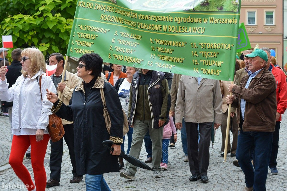 Seniorzy opanowali bolesławiecki Rynek
