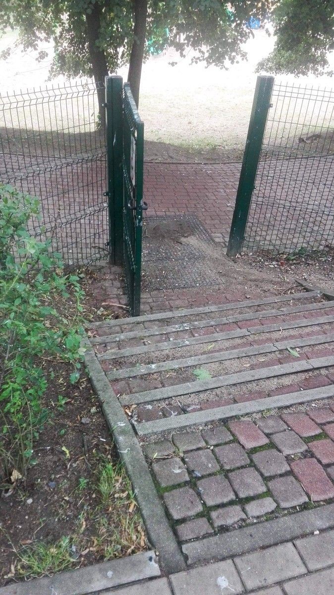 Czytelniczka: ptaki hałasują i rozkładają się na Łukasiewicza