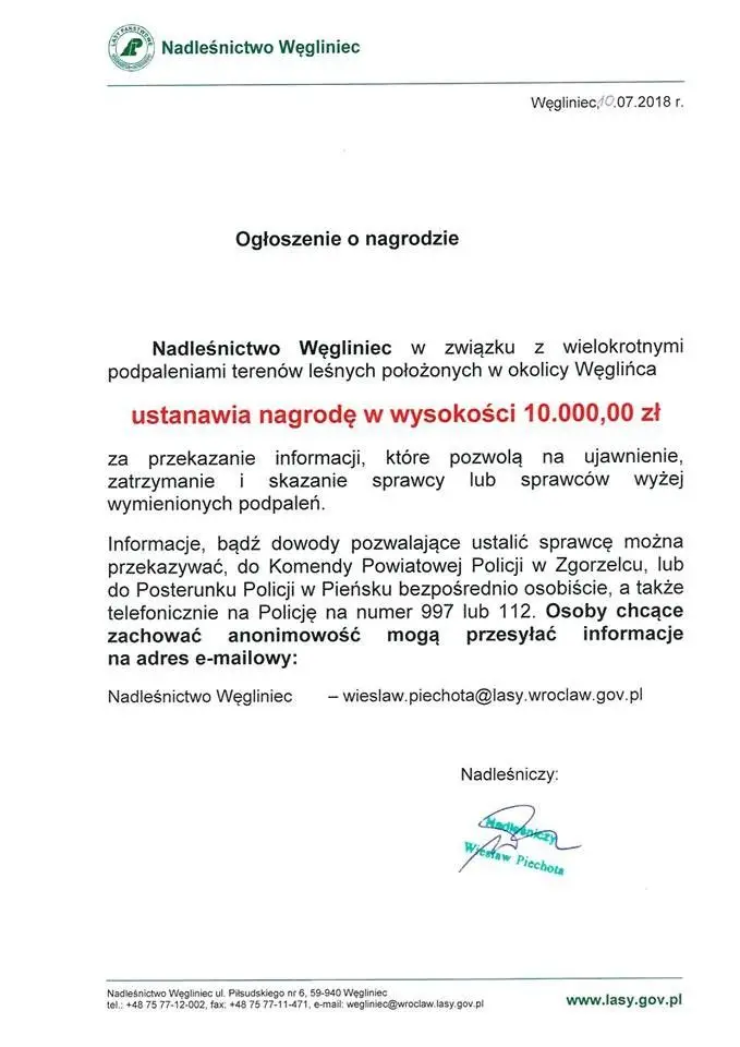 10 000 zł nagrody za pomoc w ustaleniu sprawcy podpaleń lasu