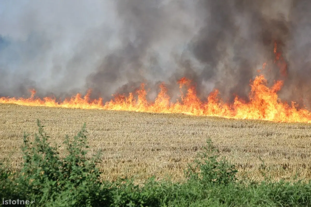 Pożar ścierniska w Kruszynie