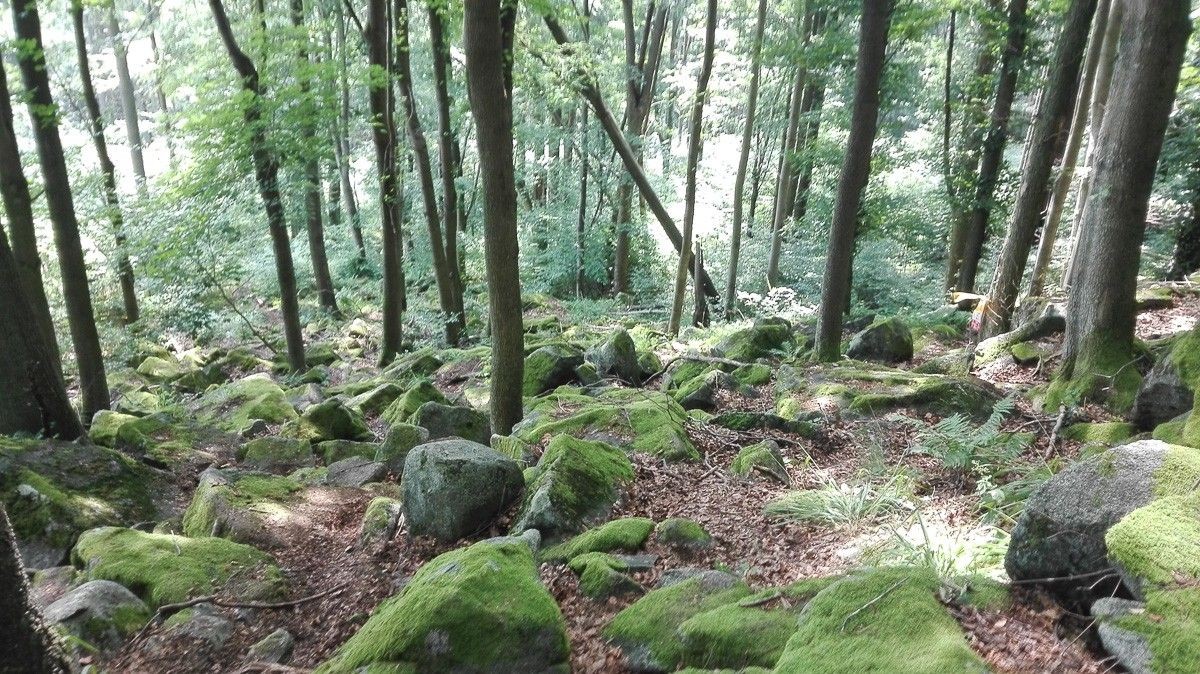 Daniel Milewicz ukończył arcytrudny Bieg 7 Szczytów. I to w skwarze i ulewie